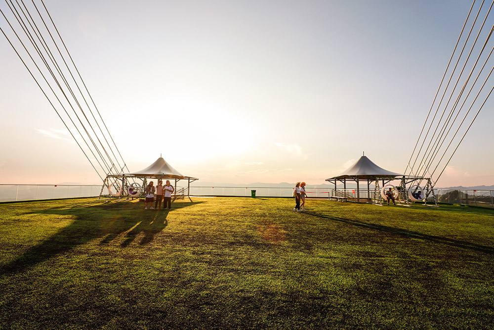 吊橋日常養護及保養介紹